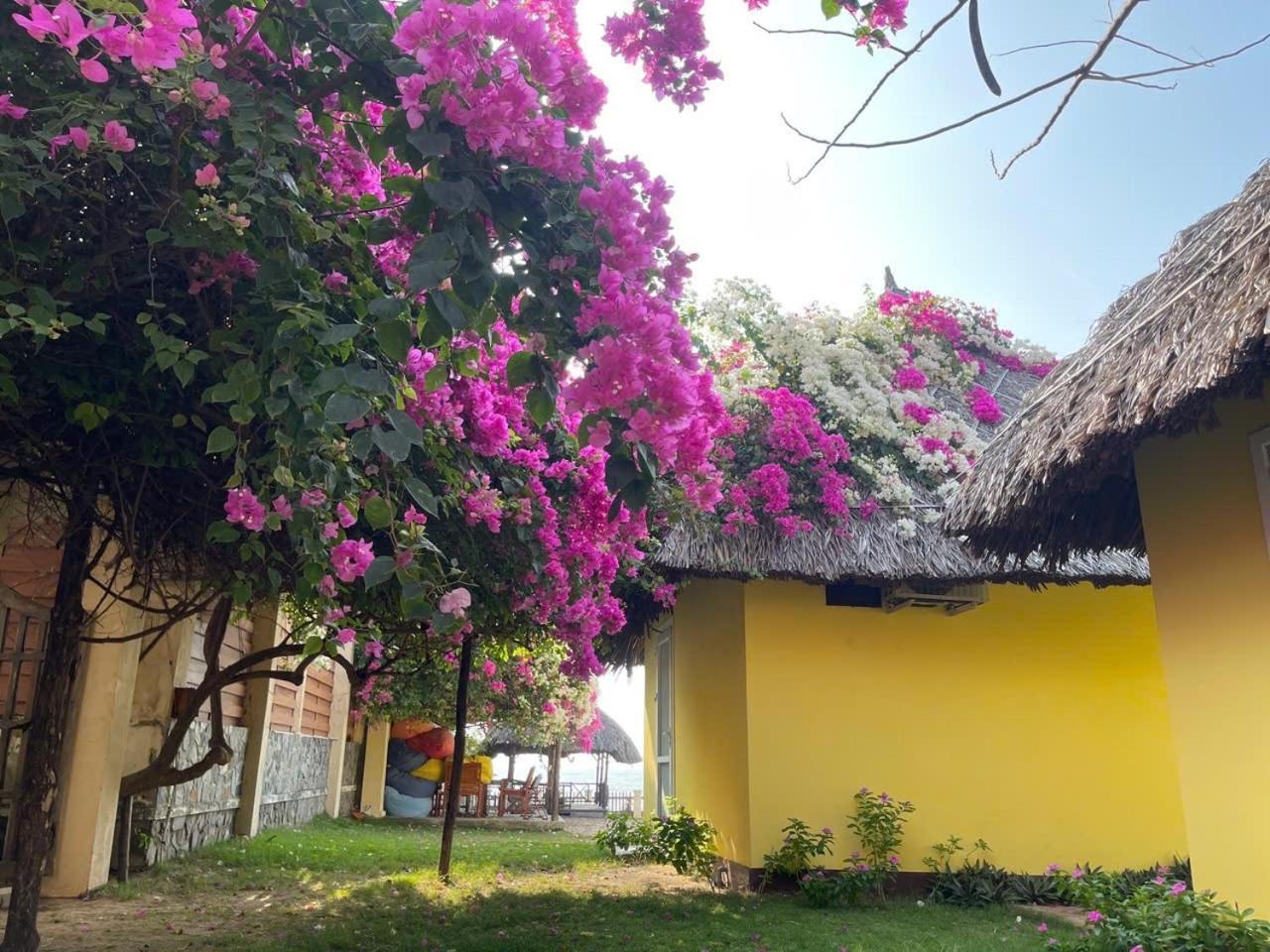 פאן ת'ייט Orchid Boutique Beach Resort מראה חיצוני תמונה