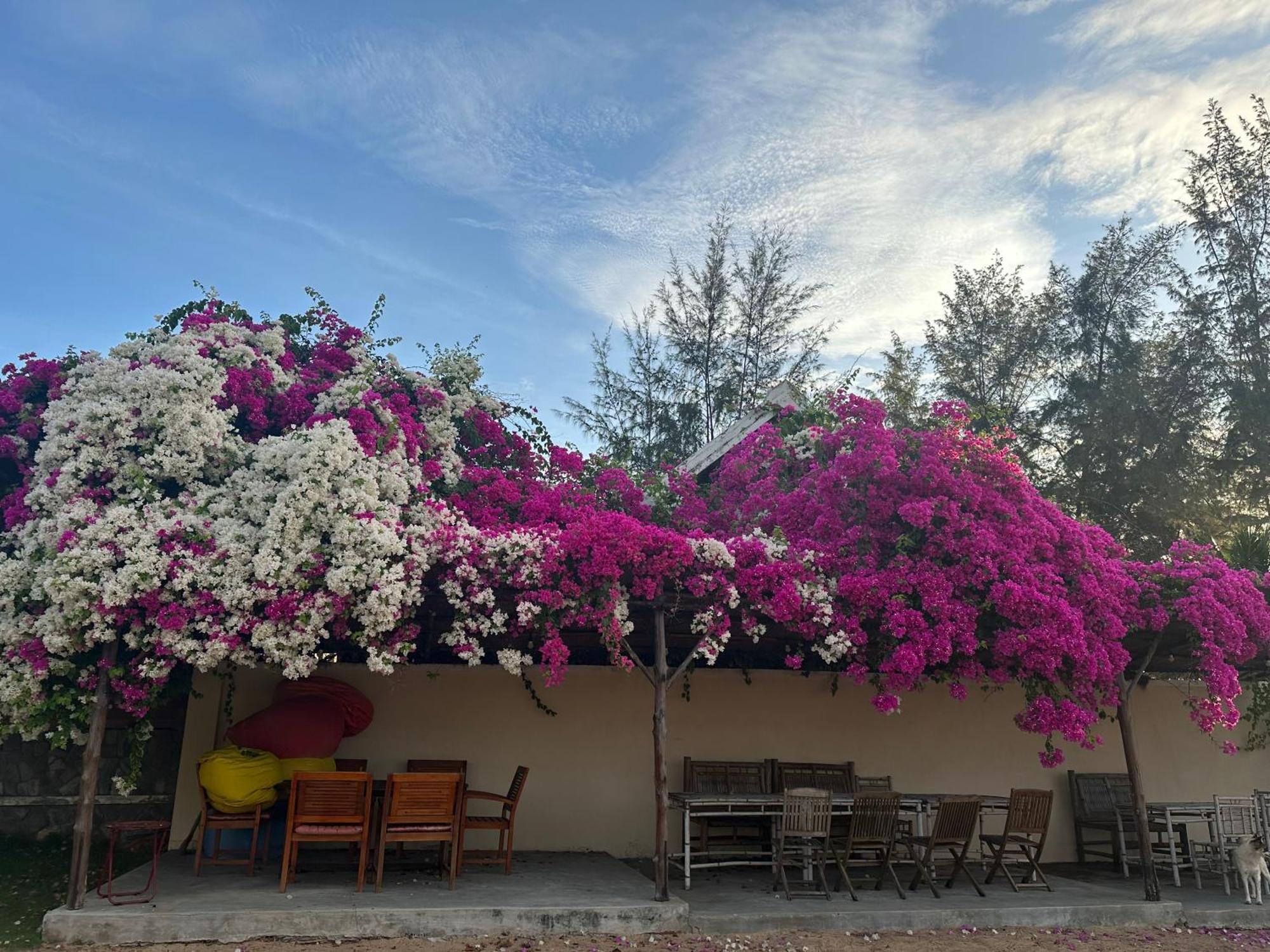 פאן ת'ייט Orchid Boutique Beach Resort מראה חיצוני תמונה