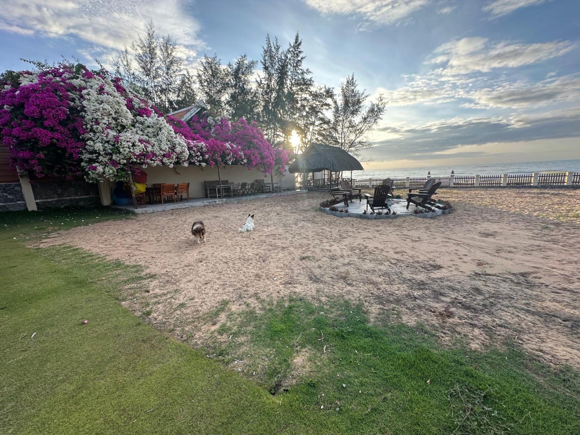 פאן ת'ייט Orchid Boutique Beach Resort מראה חיצוני תמונה