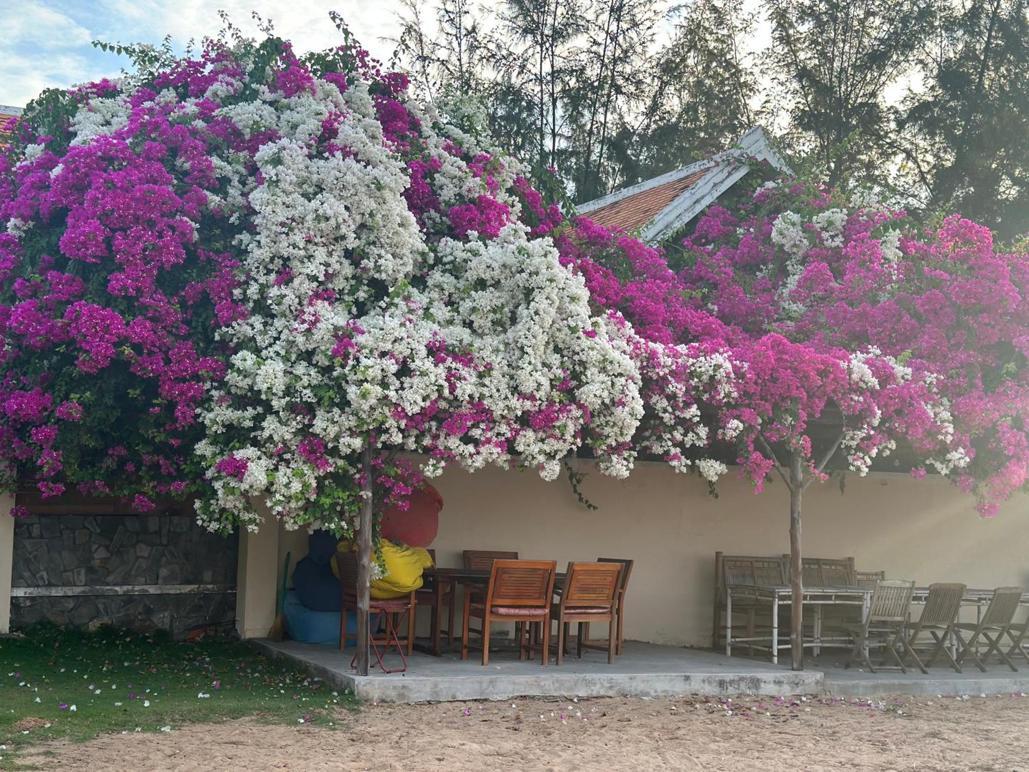 פאן ת'ייט Orchid Boutique Beach Resort מראה חיצוני תמונה